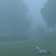 Image for article titled 9 Inconsistencies In The Mysterious Disappearance Of The Countess Wellington